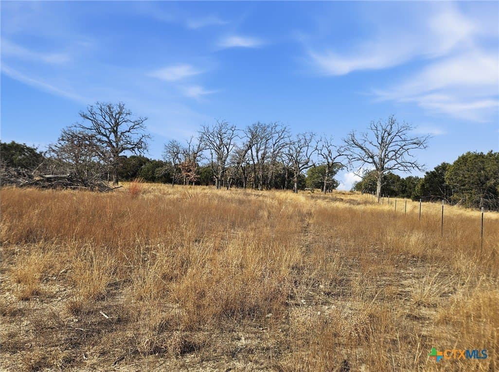 102.74 acres in Coryell County - photo 20