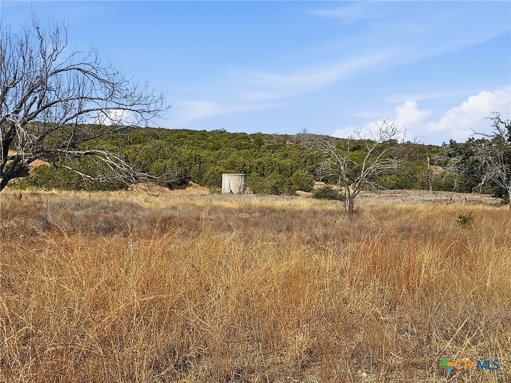 102.74 acres in Coryell County - photo 8