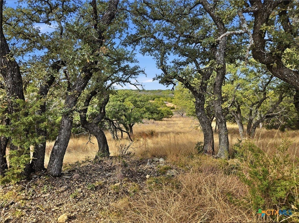 102.74 acres in Coryell County