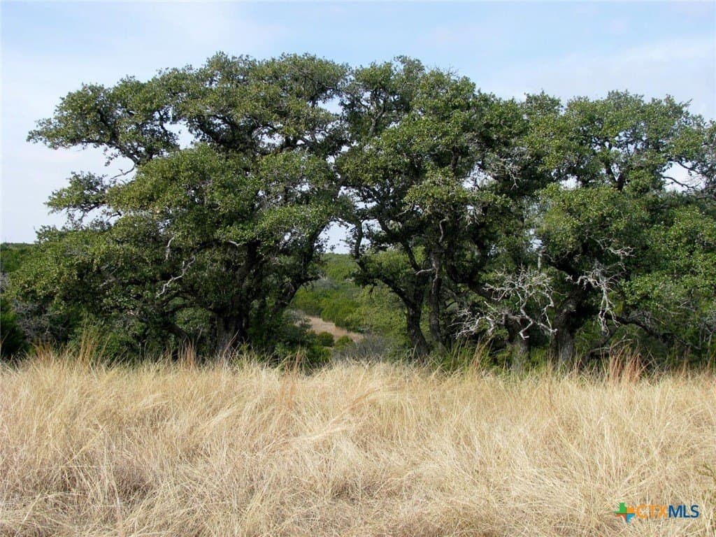 102.74 acres in Coryell County - photo 30