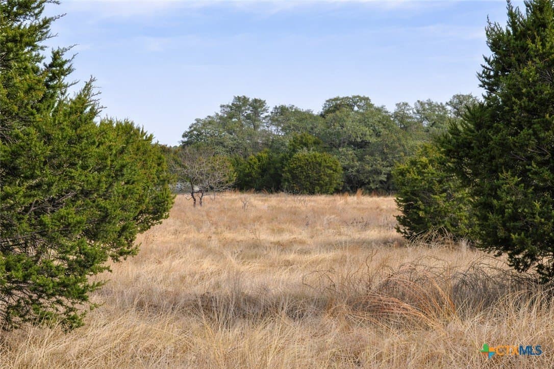 102.74 acres in Coryell County - photo 29
