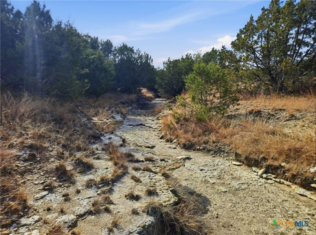 102.74 acres in Coryell County - photo 17