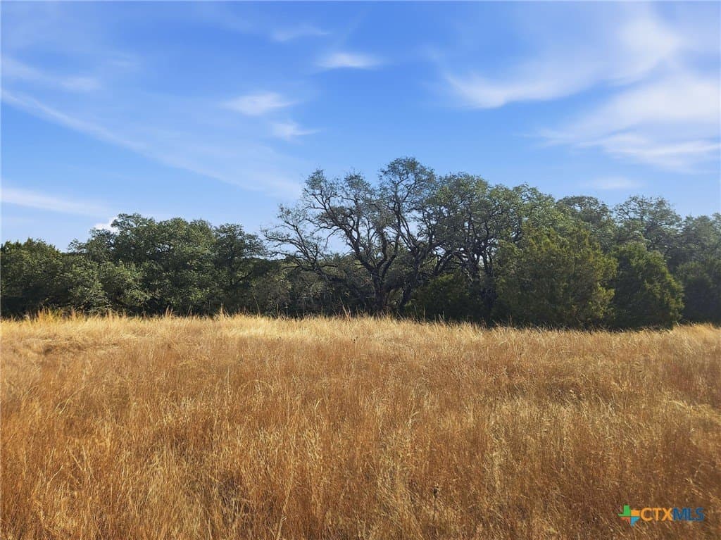 102.74 acres in Coryell County - photo 25