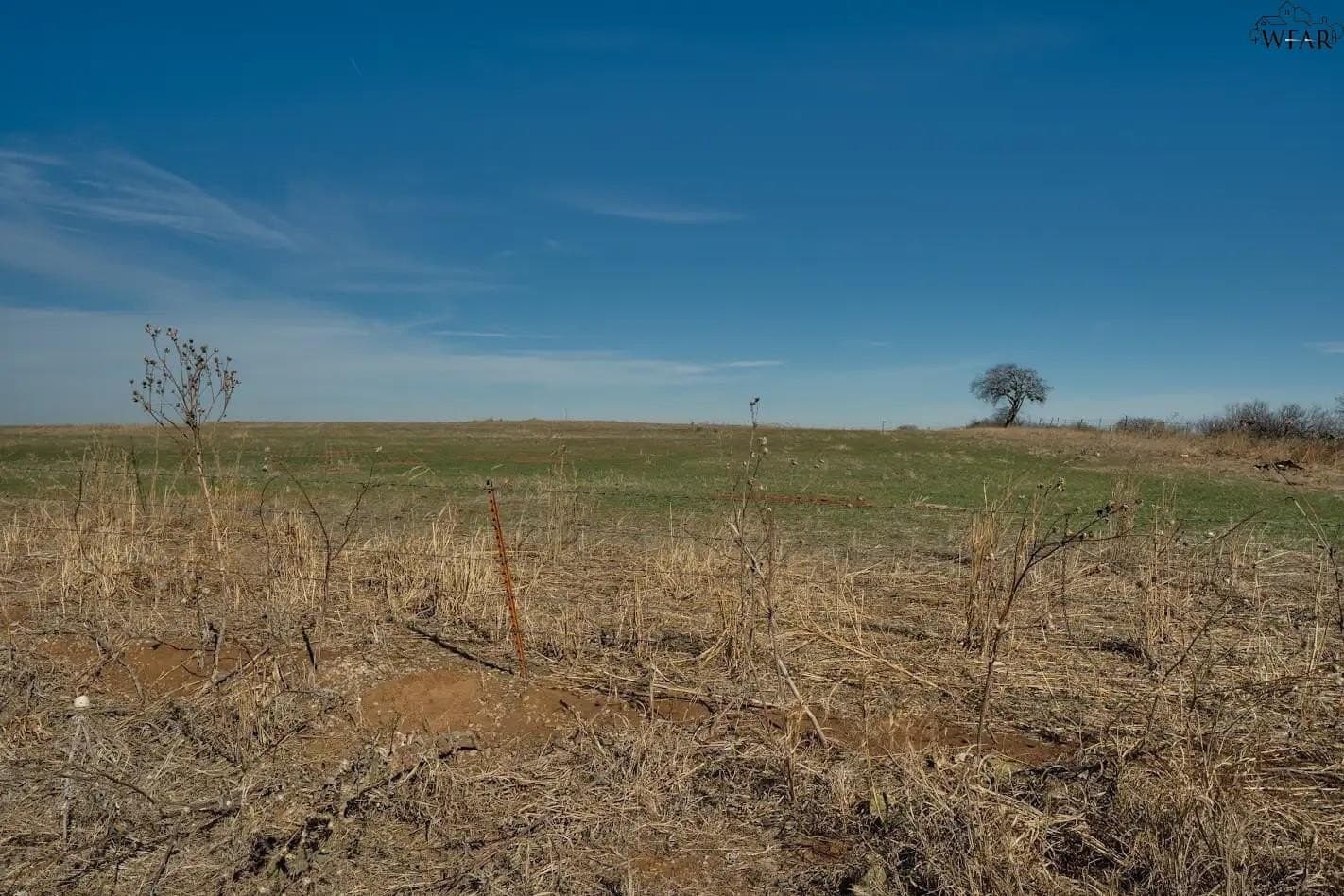 120.08 acres in Wichita County - photo 11