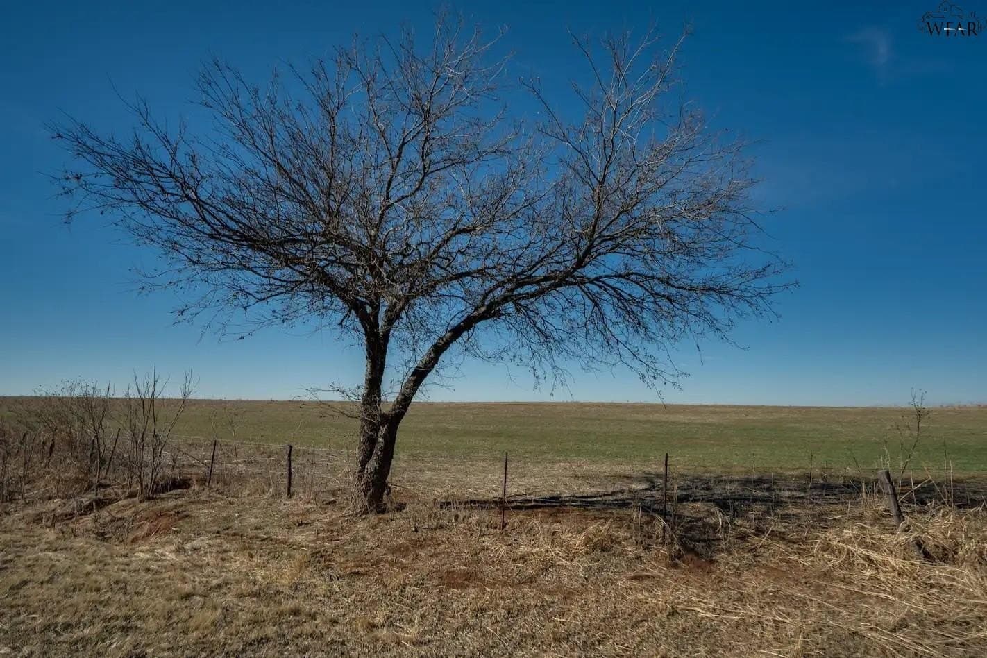 120.08 acres in Wichita County - photo 12