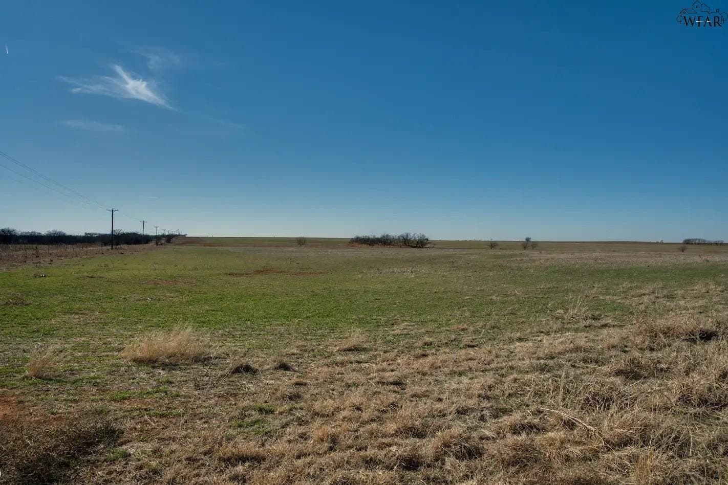 120.08 acres in Wichita County - photo 14
