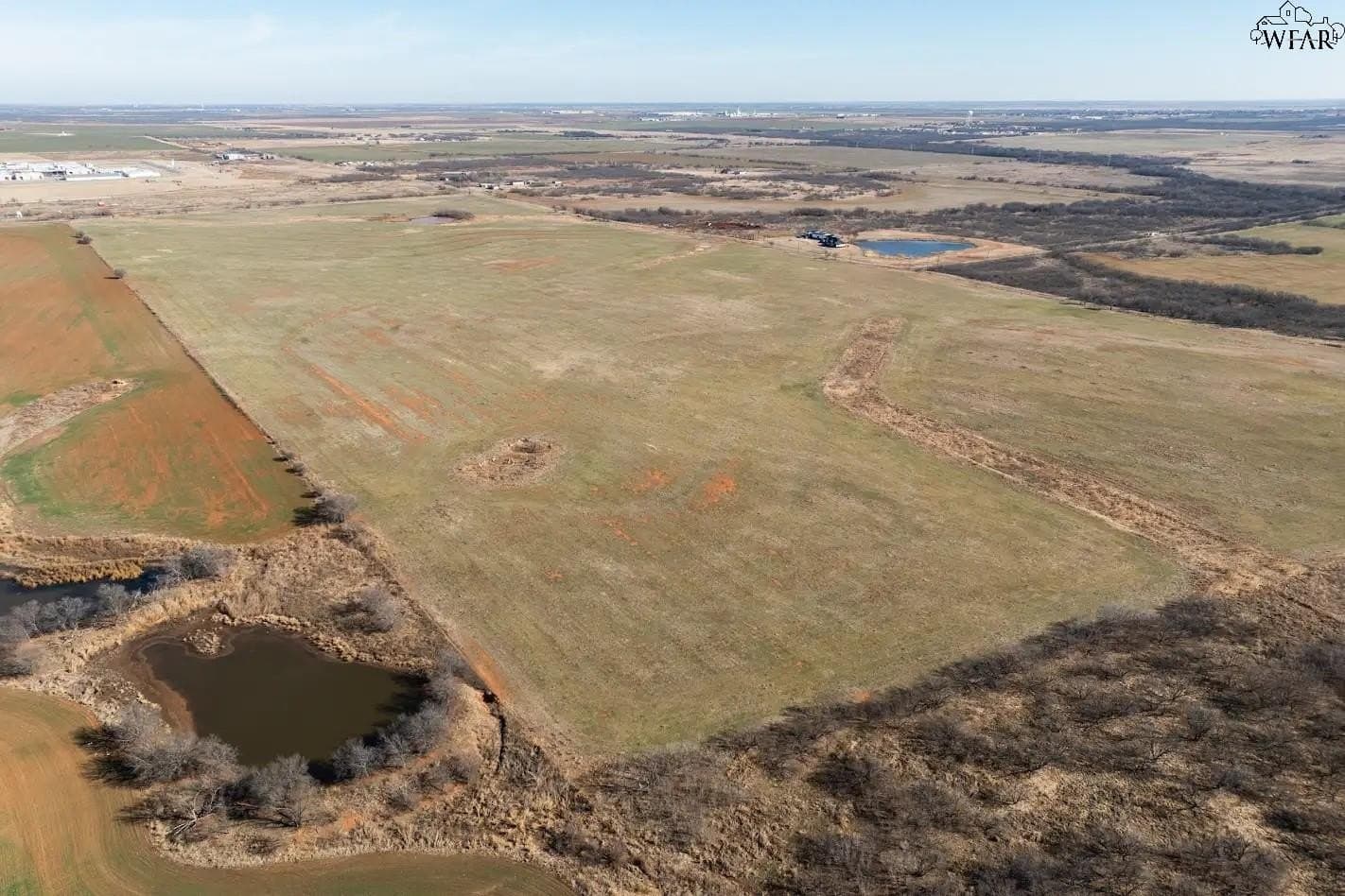 120.08 acres in Wichita County gallery image 3