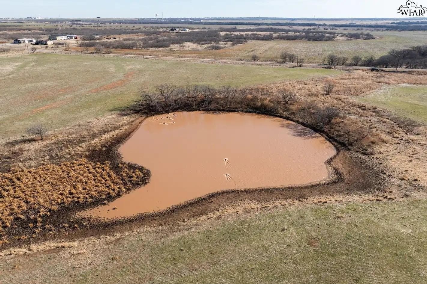120.08 acres in Wichita County featured view