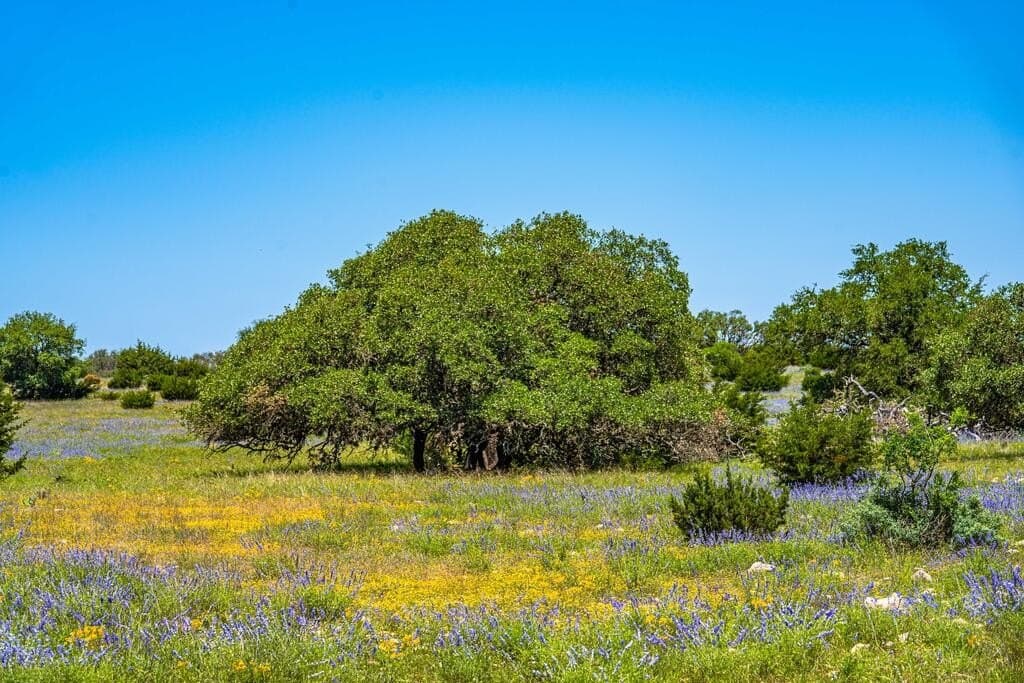 56.12 acres in Edwards County - photo 30