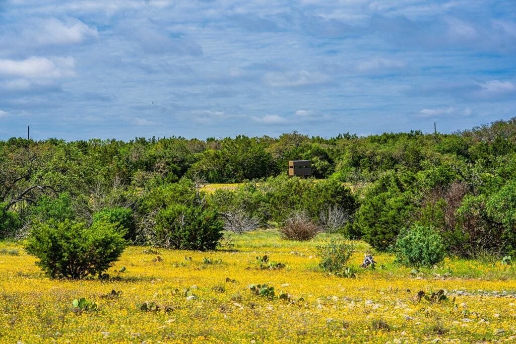 56.12 acres in Edwards County - photo 13