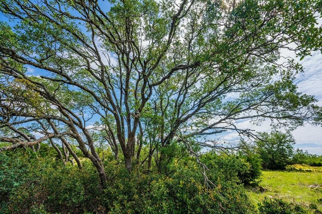 56.12 acres in Edwards County - photo 14