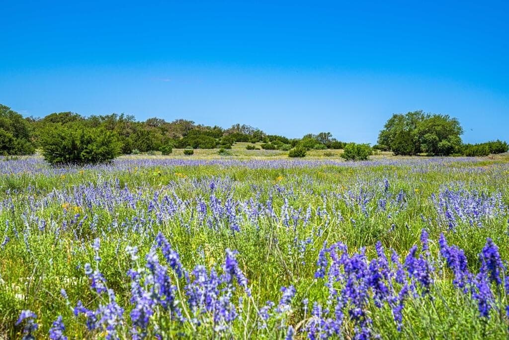 56.12 acres in Edwards County - photo 21