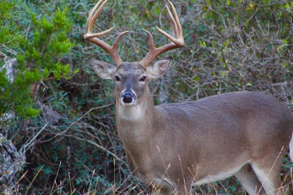 56.12 acres in Edwards County - photo 40
