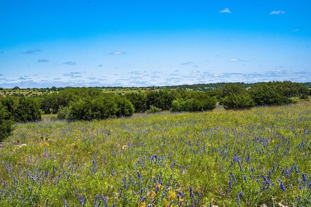 56.12 acres in Edwards County - photo 27