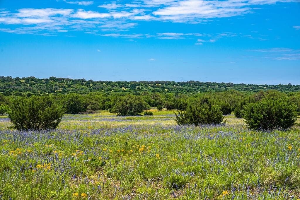 56.12 acres in Edwards County - photo 26