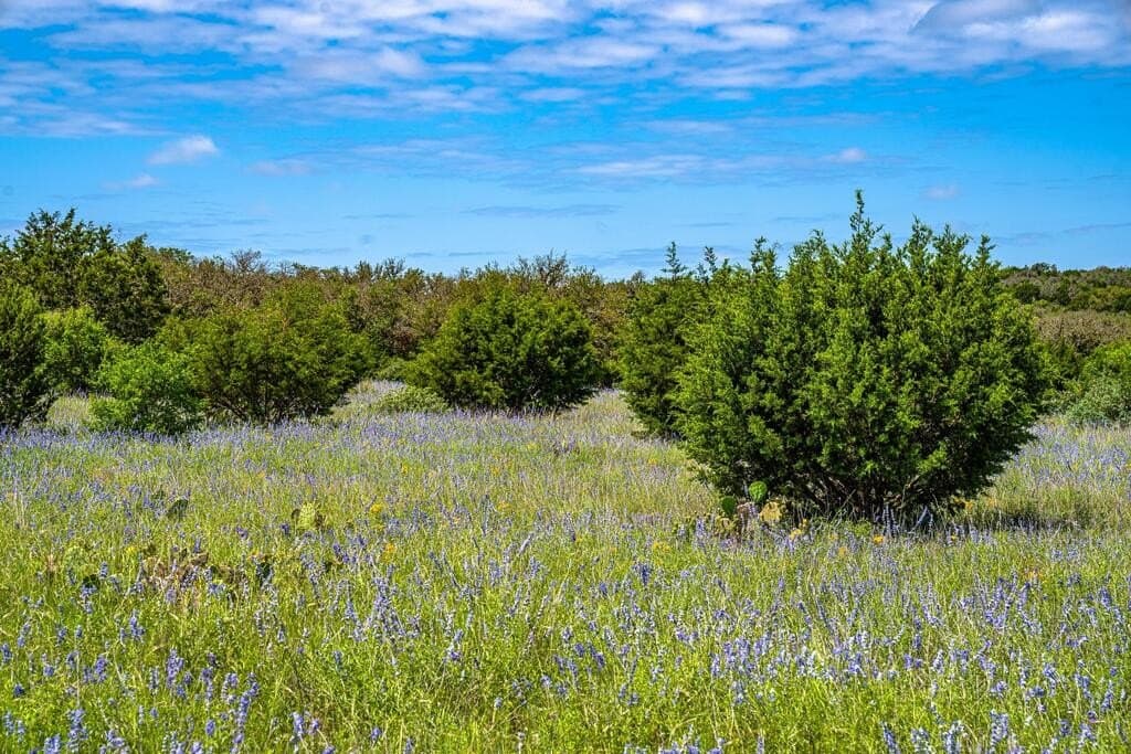 56.12 acres in Edwards County - photo 28