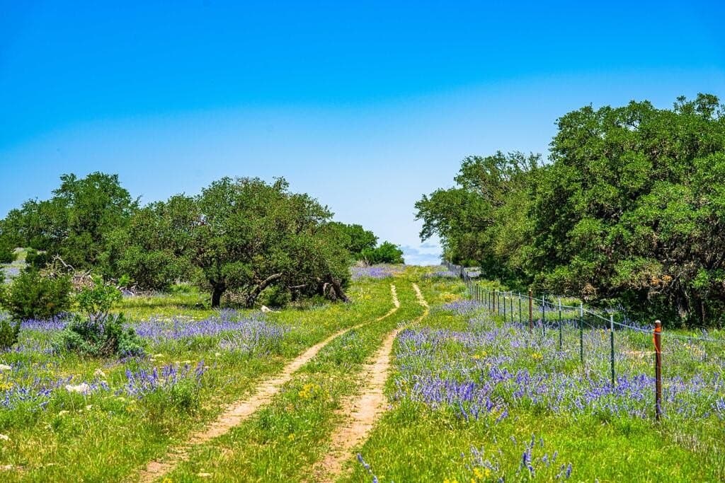 56.12 acres in Edwards County - photo 23
