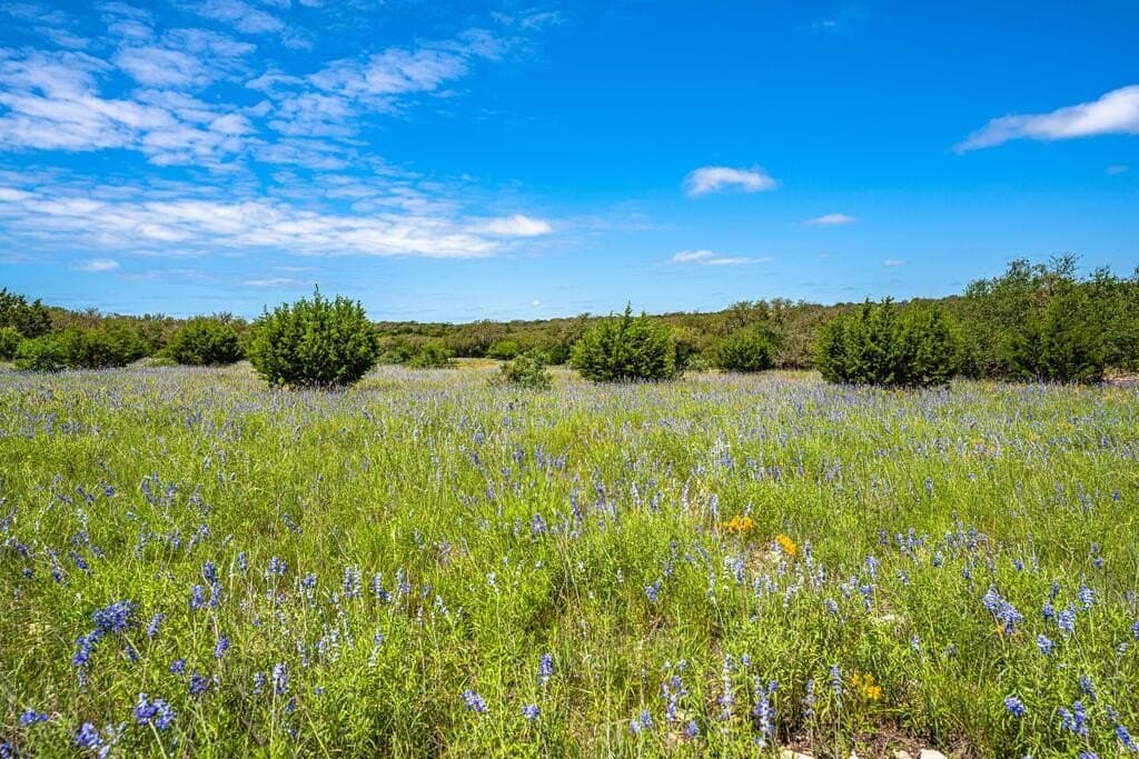 56.12 acres in Edwards County - photo 20