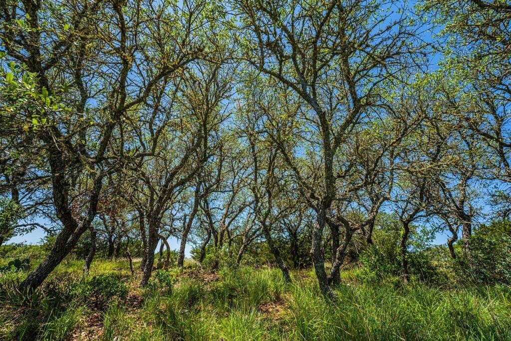 56.12 acres in Edwards County - photo 22