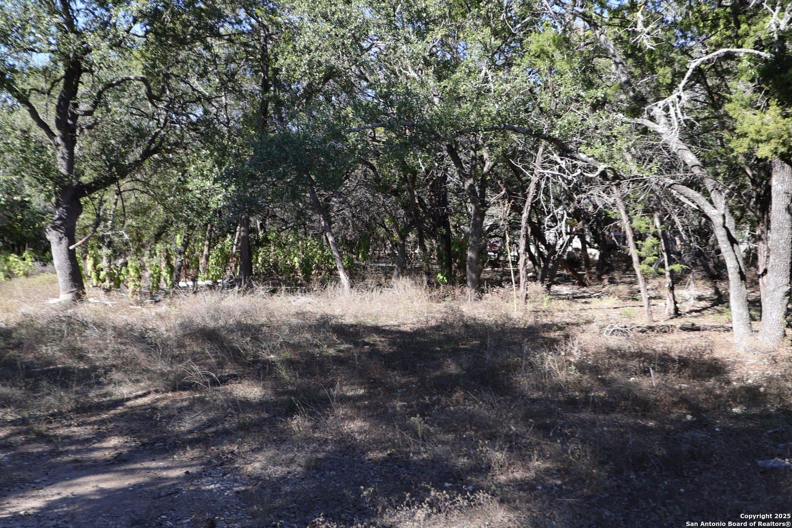 0.71 acres in Comal County - photo 8