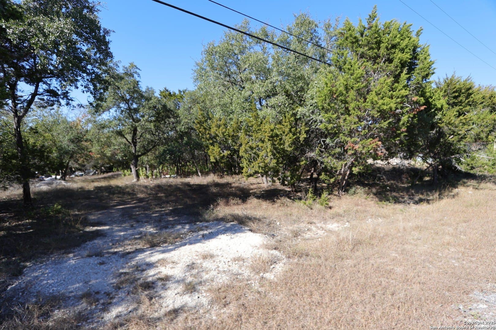 0.71 acres in Comal County gallery image 2