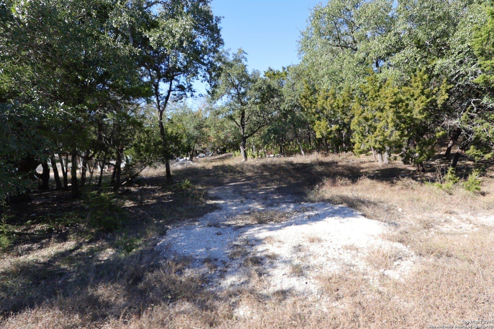 0.71 acres in Comal County gallery image 4