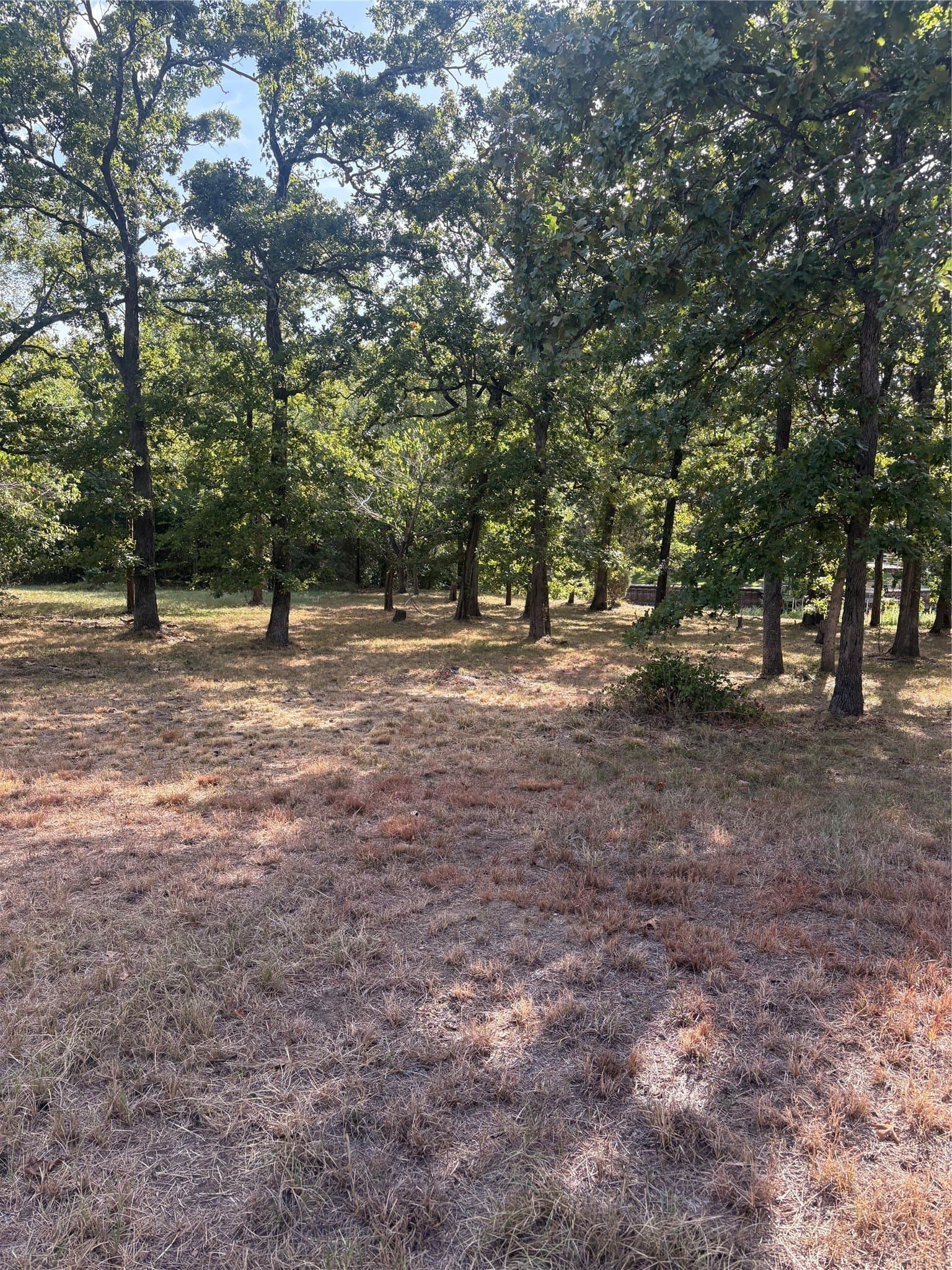0.25 acres in Henderson County - photo 2