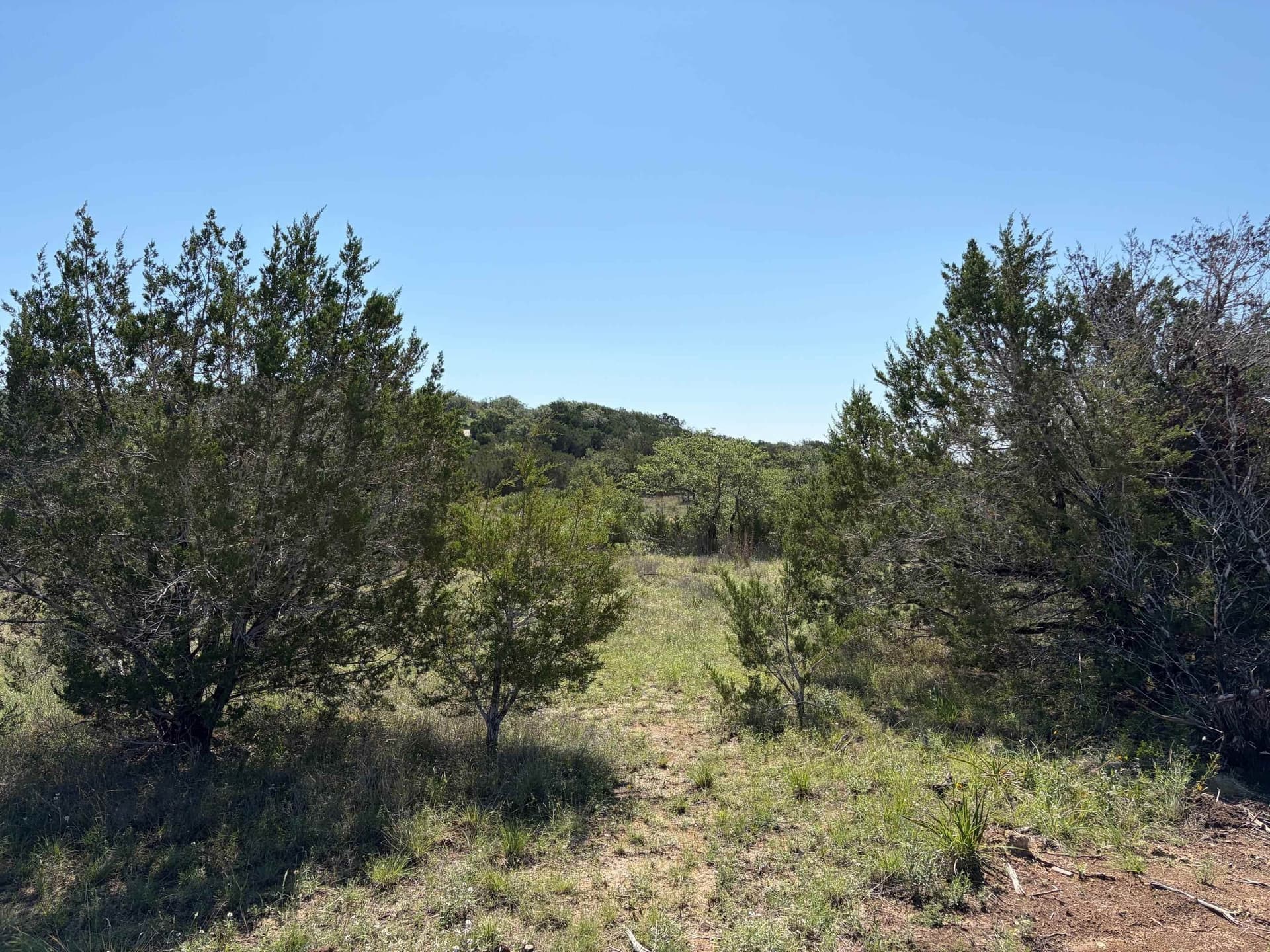 11.19 acres in Travis County gallery image 4