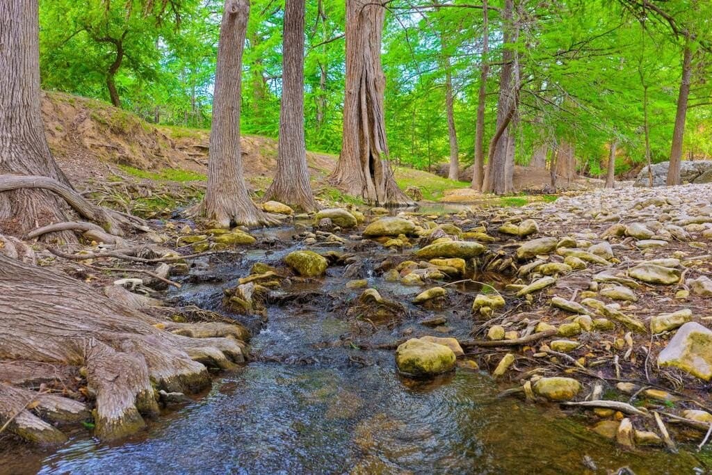 202 acres in Kendall County - photo 8