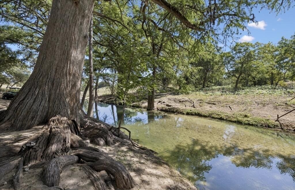 202 acres in Kendall County - photo 2