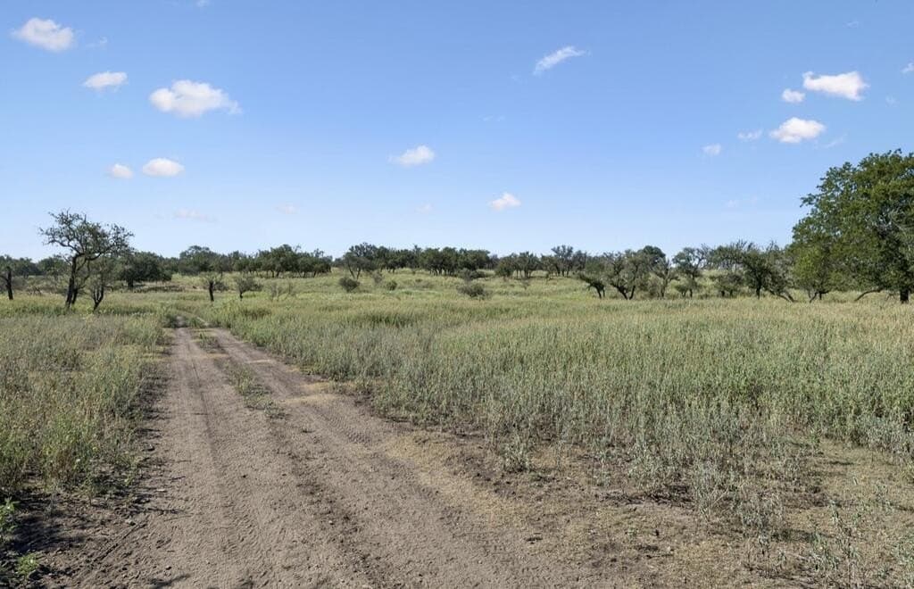 202 acres in Kendall County - photo 6