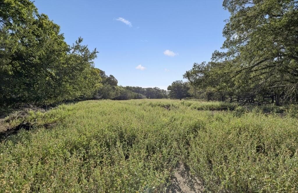 202 acres in Kendall County - photo 29