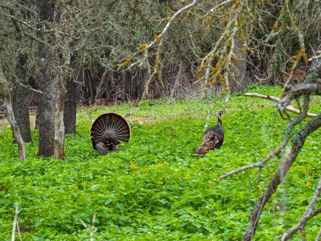 202 acres in Kendall County - photo 22