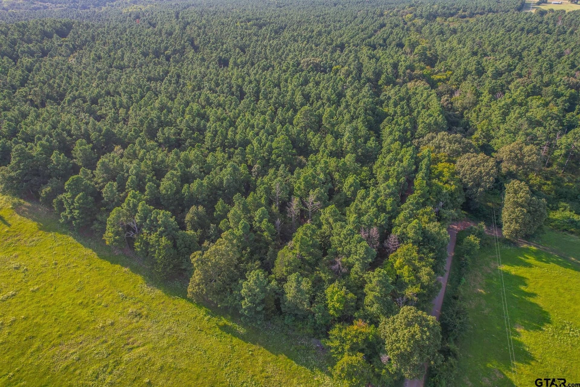 48 acres in Henderson County - photo 2