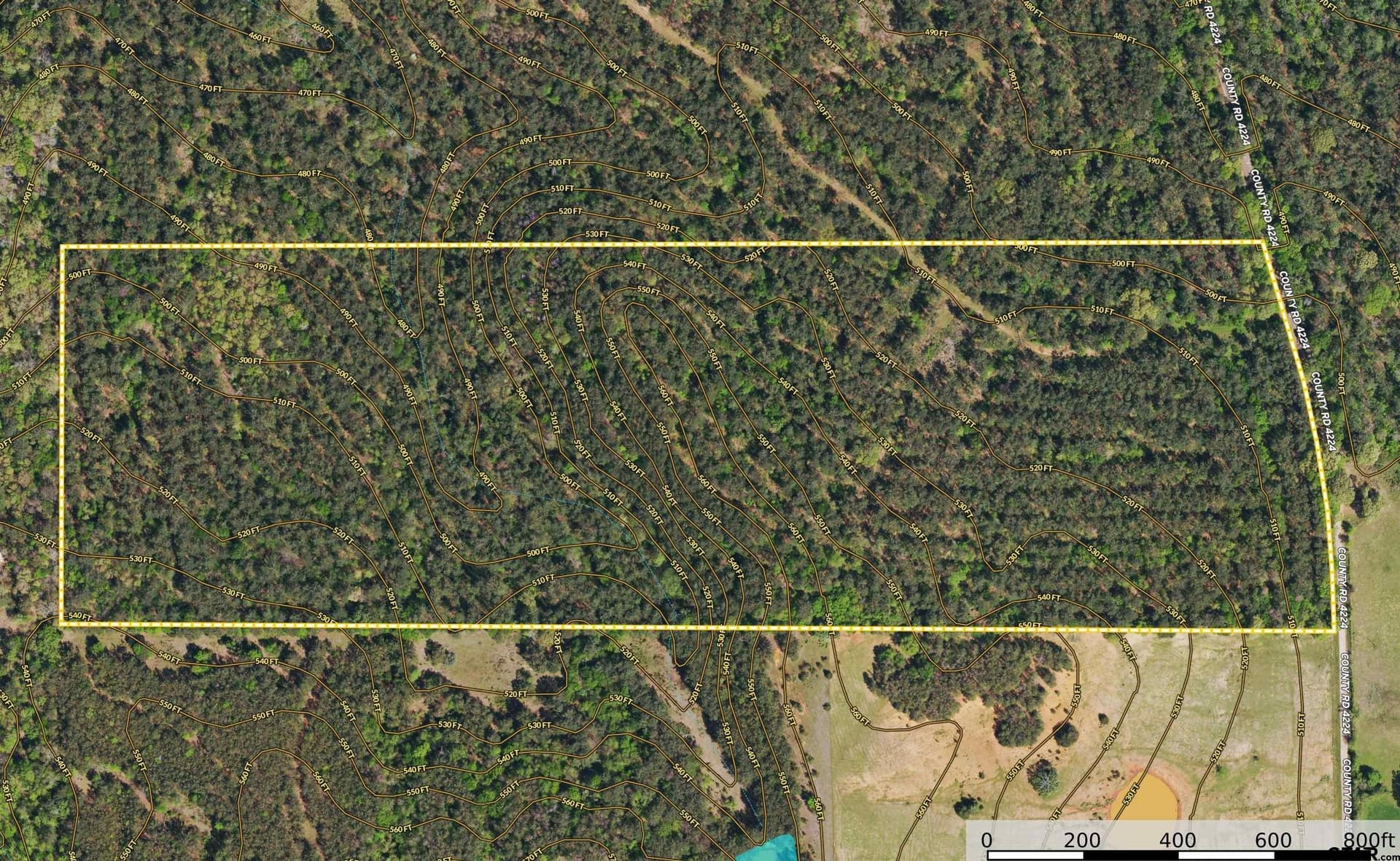 48 acres in Henderson County - photo 11