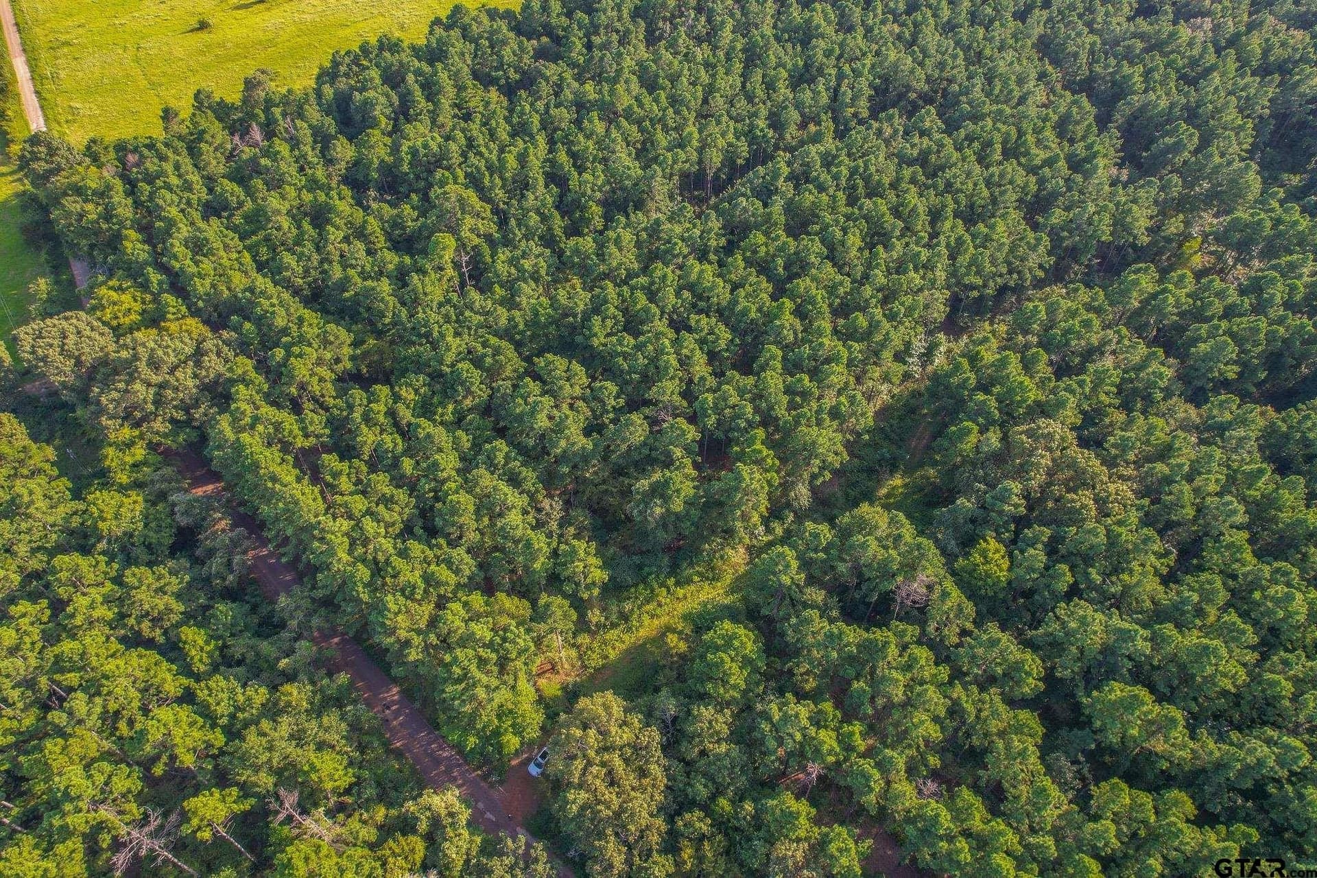 48 acres in Henderson County - photo 3