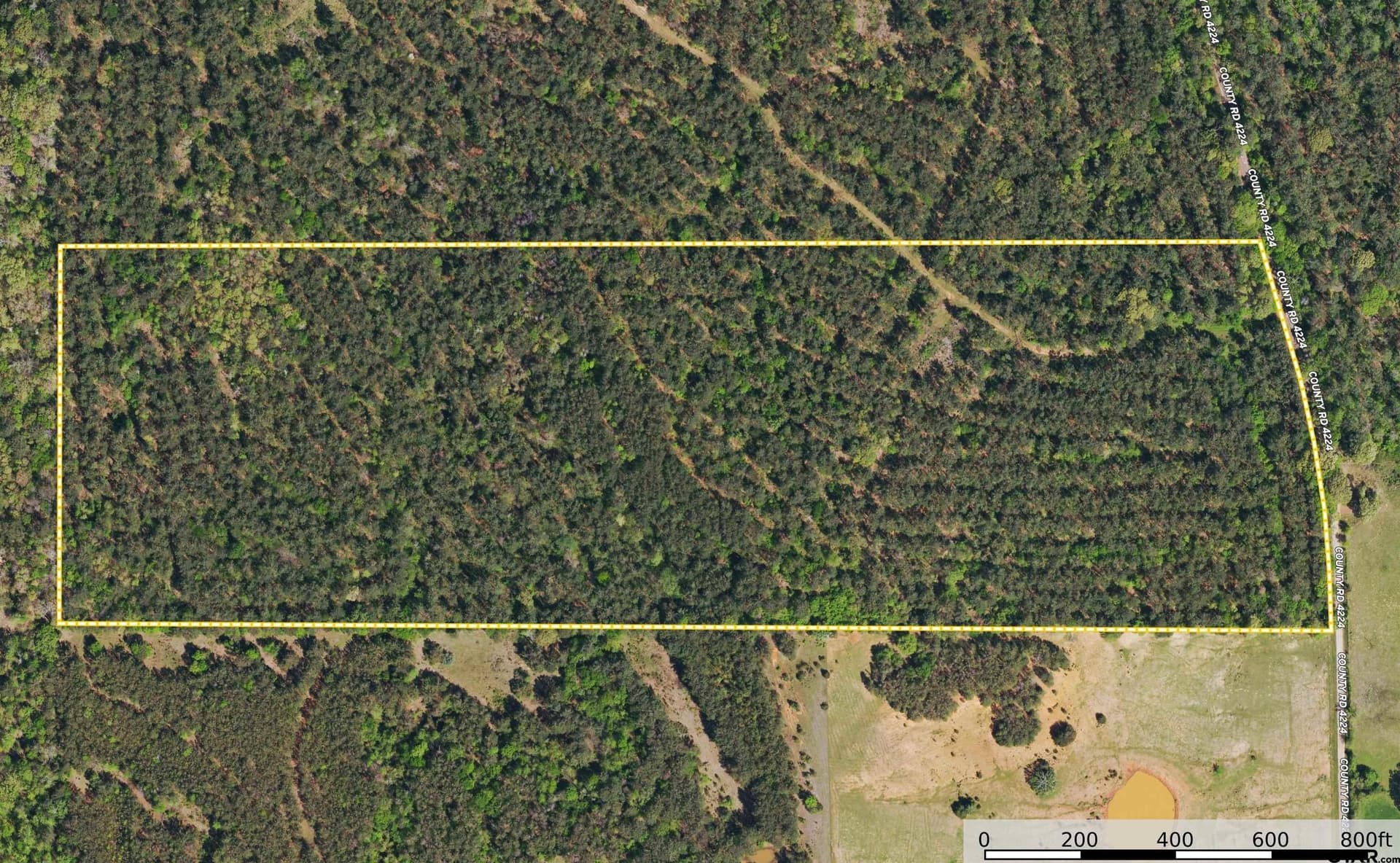 48 acres in Henderson County - photo 10