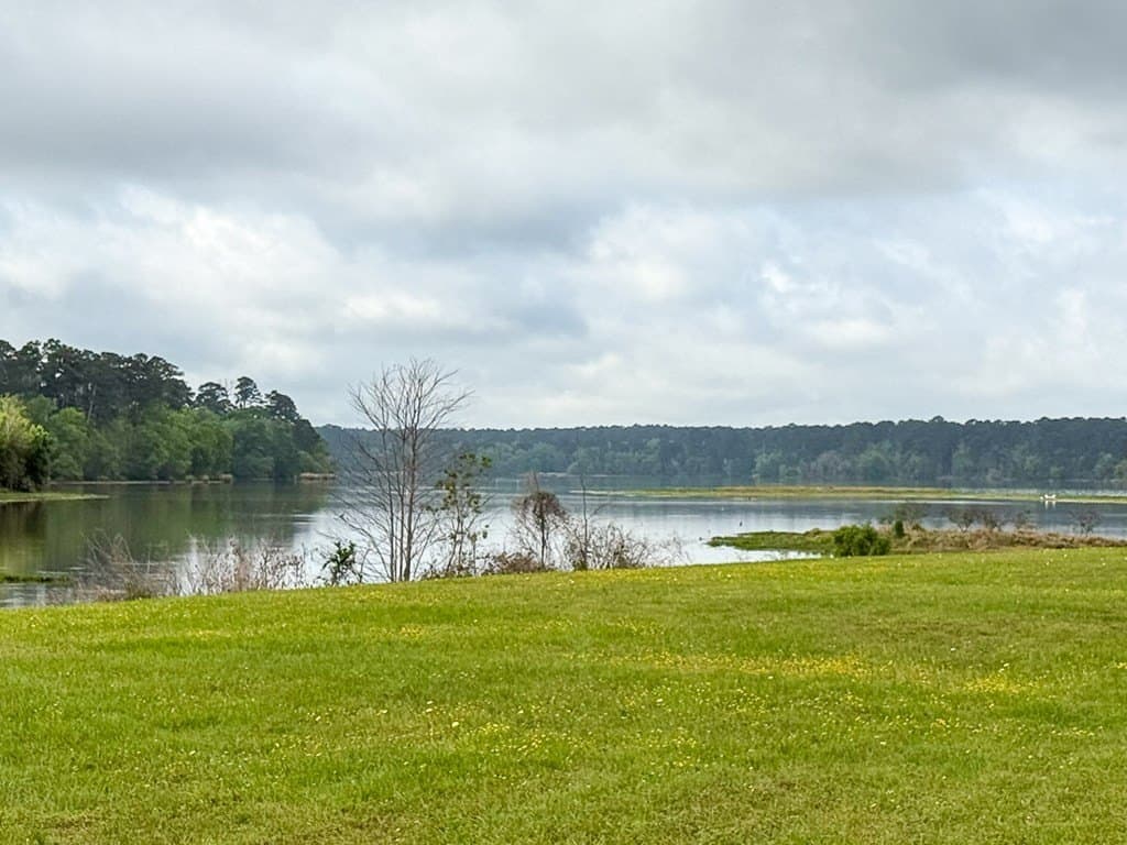 0.19 acres in Texas County - photo 6