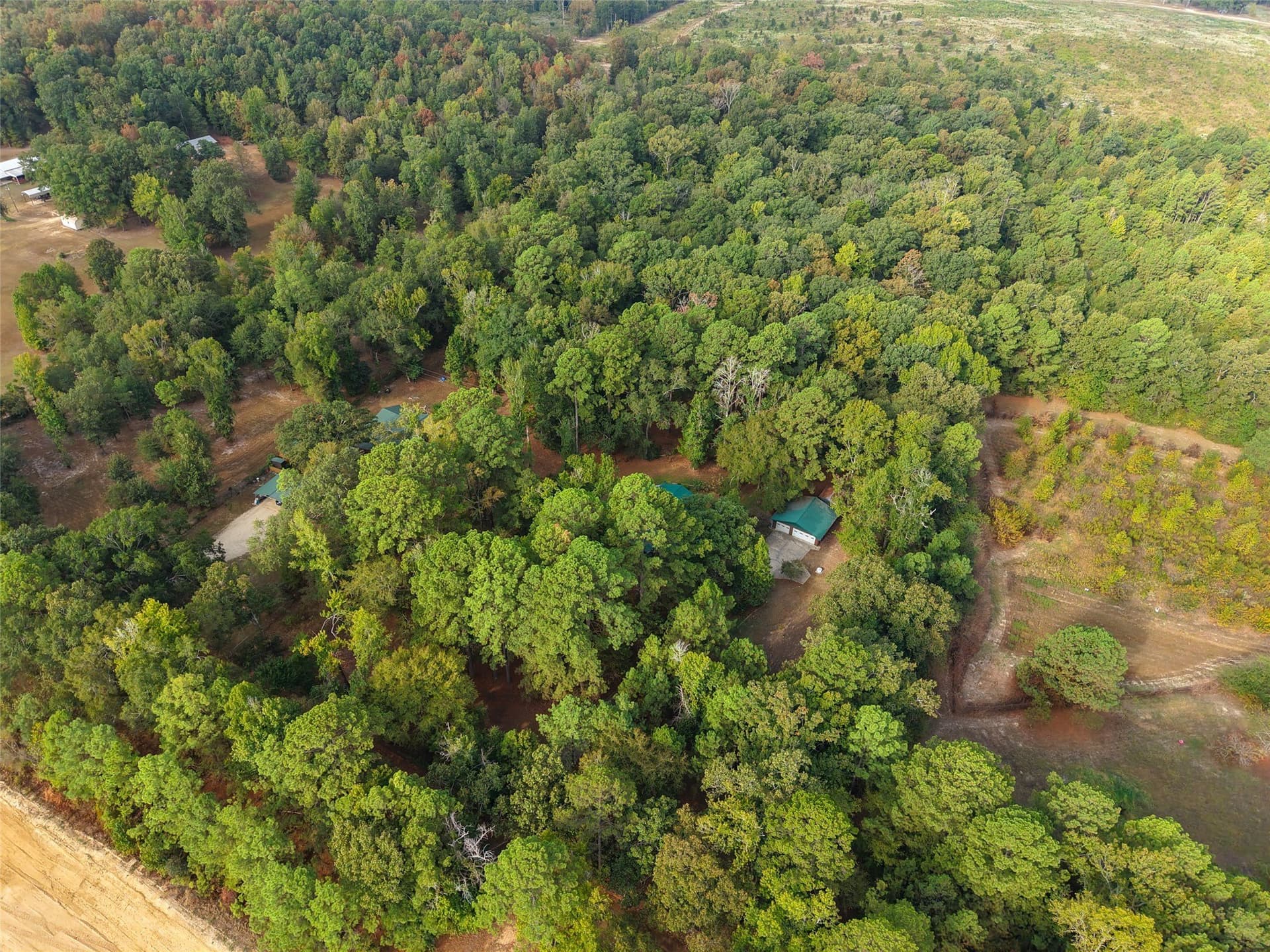 11.5 acres in Cass County - photo 5