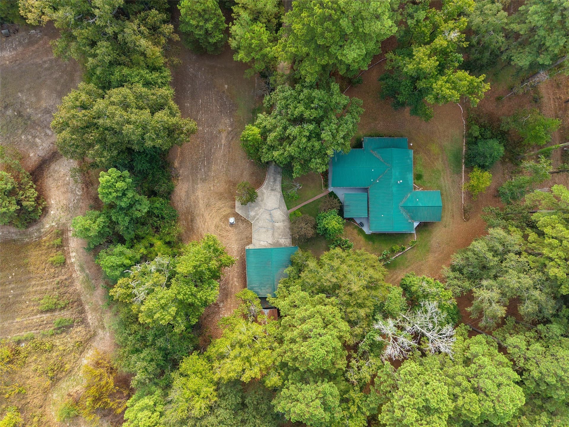 11.5 acres in Cass County - photo 6