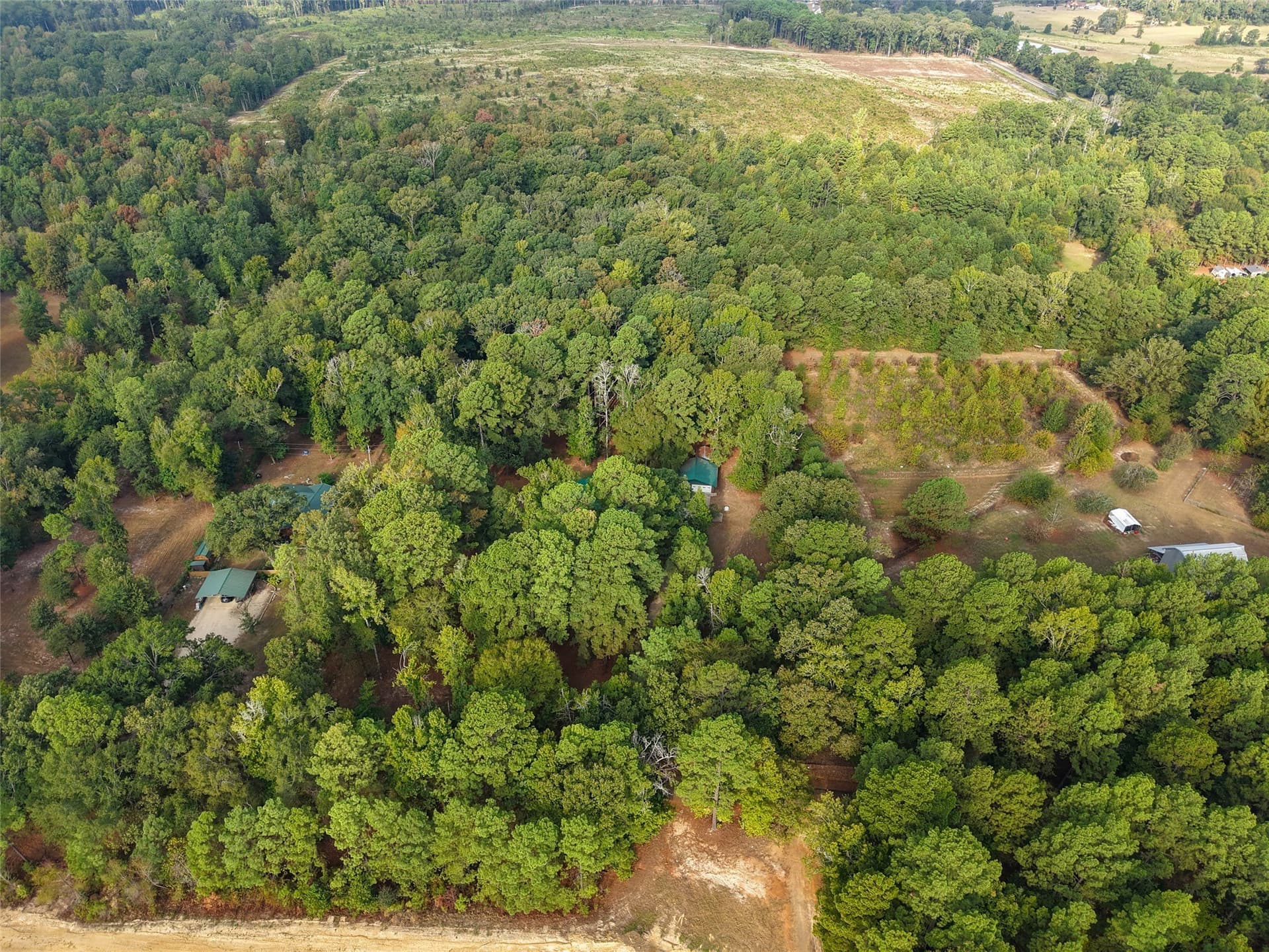 11.5 acres in Cass County - photo 4