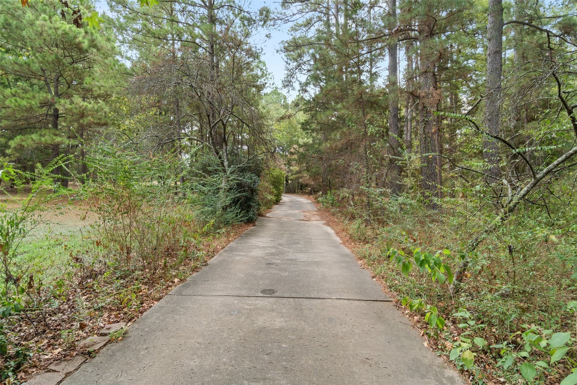 11.5 acres in Cass County - photo 31