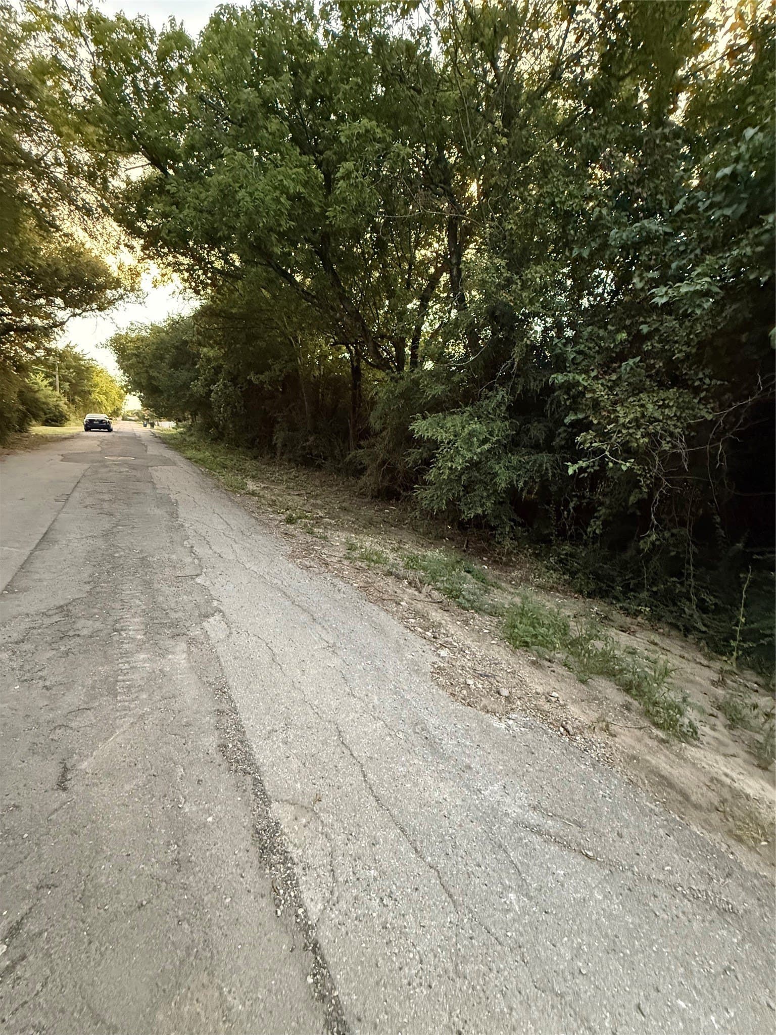 5 acres in Dallas County gallery image 4