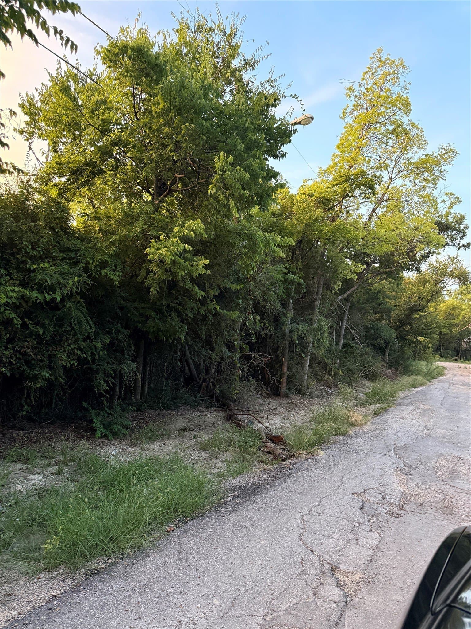 5 acres in Dallas County gallery image 2