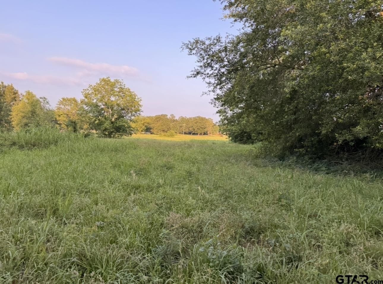 6 acres in Titus County - photo 6