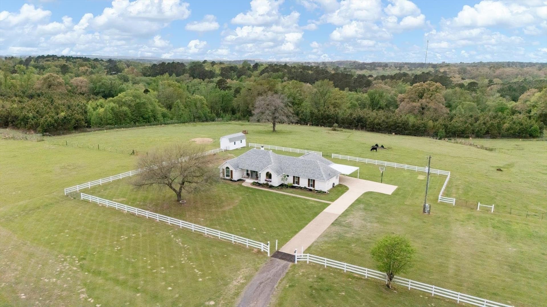 12 acres in Upshur County gallery image 4