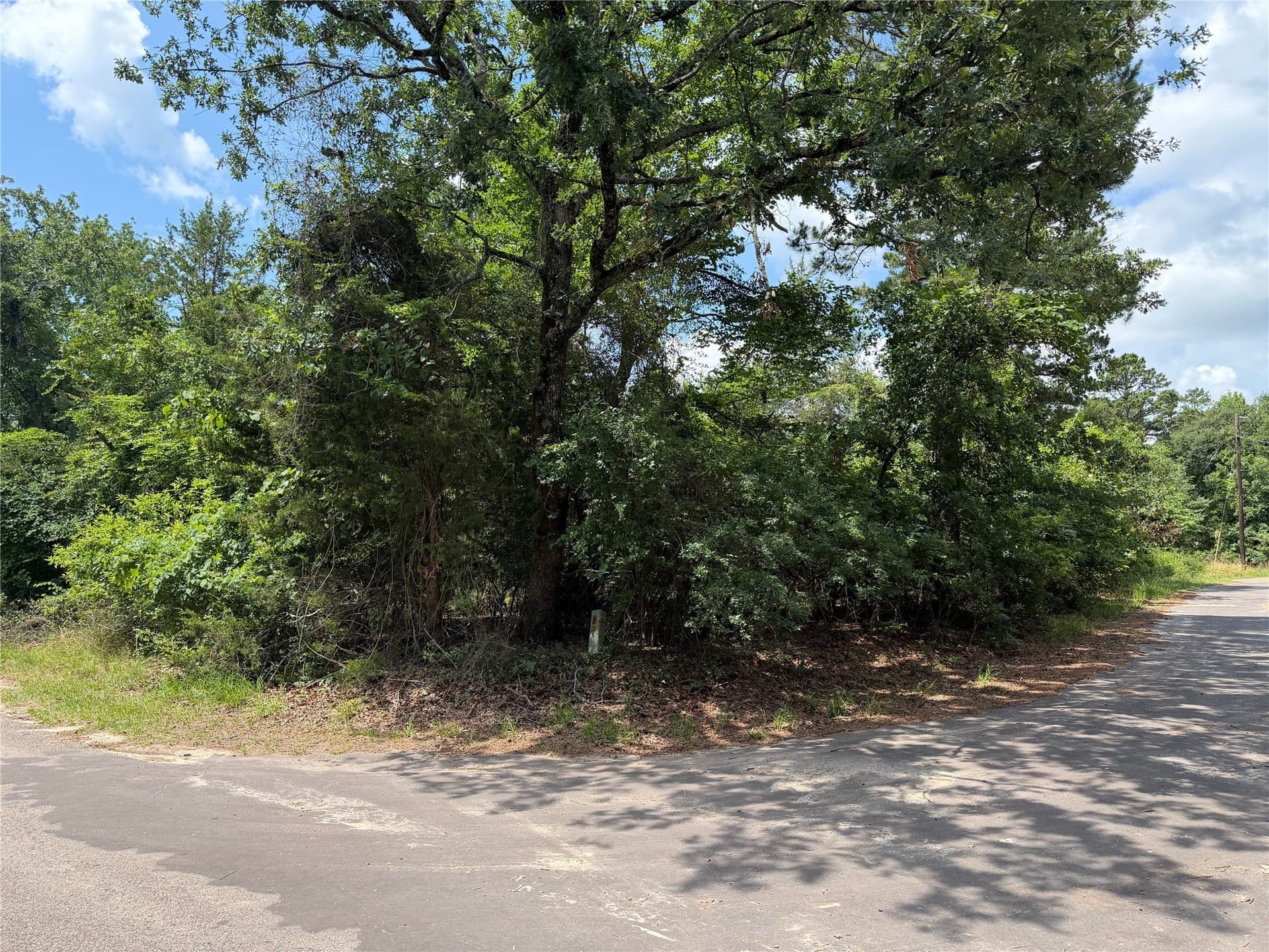 0.36 acres in Franklin (TX) County gallery image 2