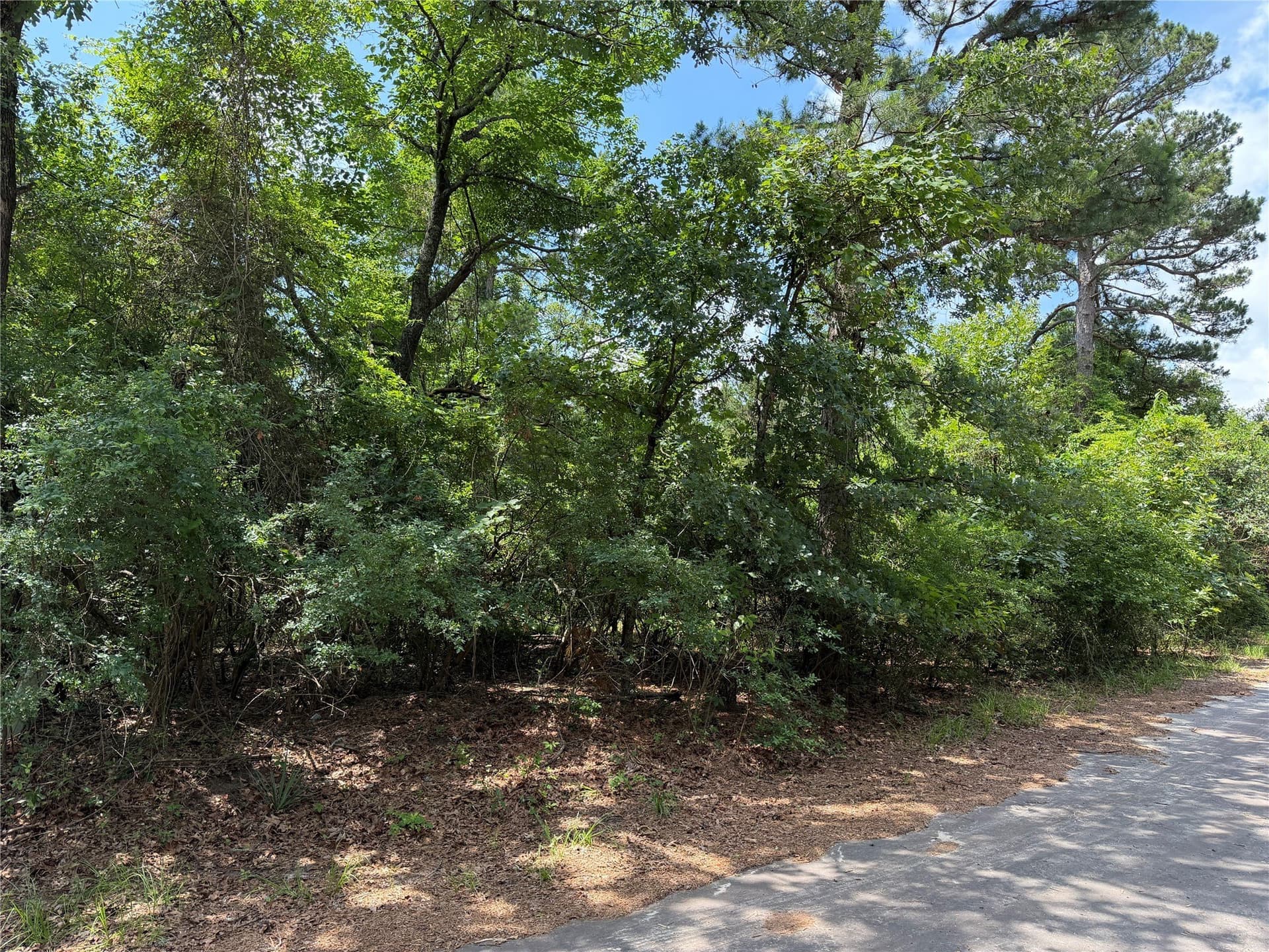 0.36 acres in Franklin (TX) County gallery image 3