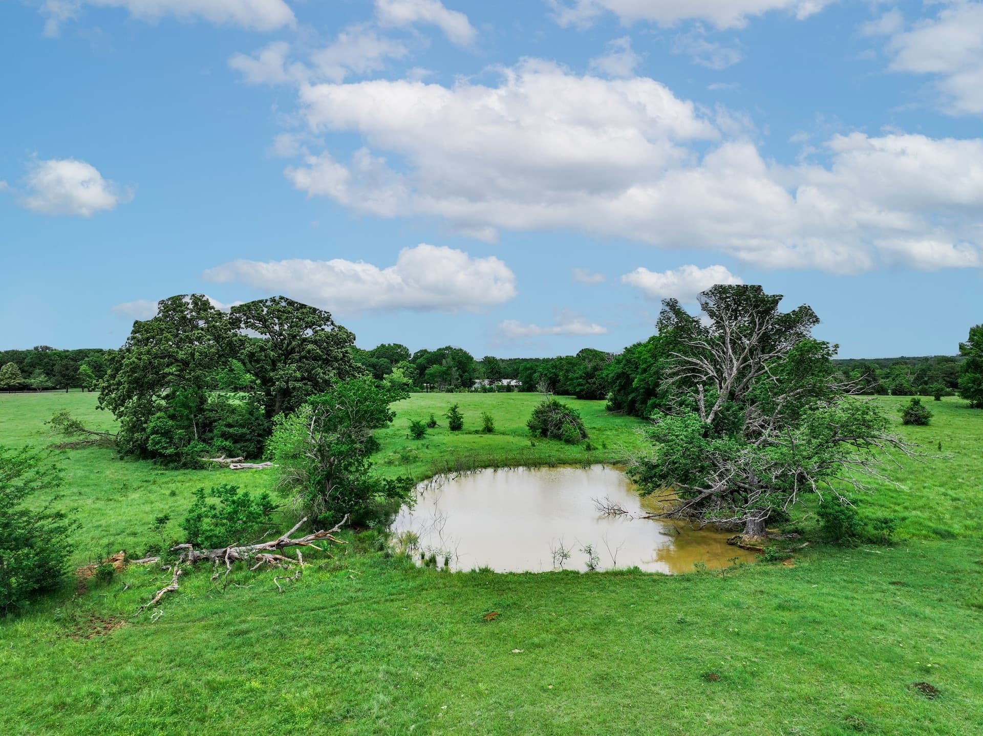 163 acres in Anderson County - photo 34