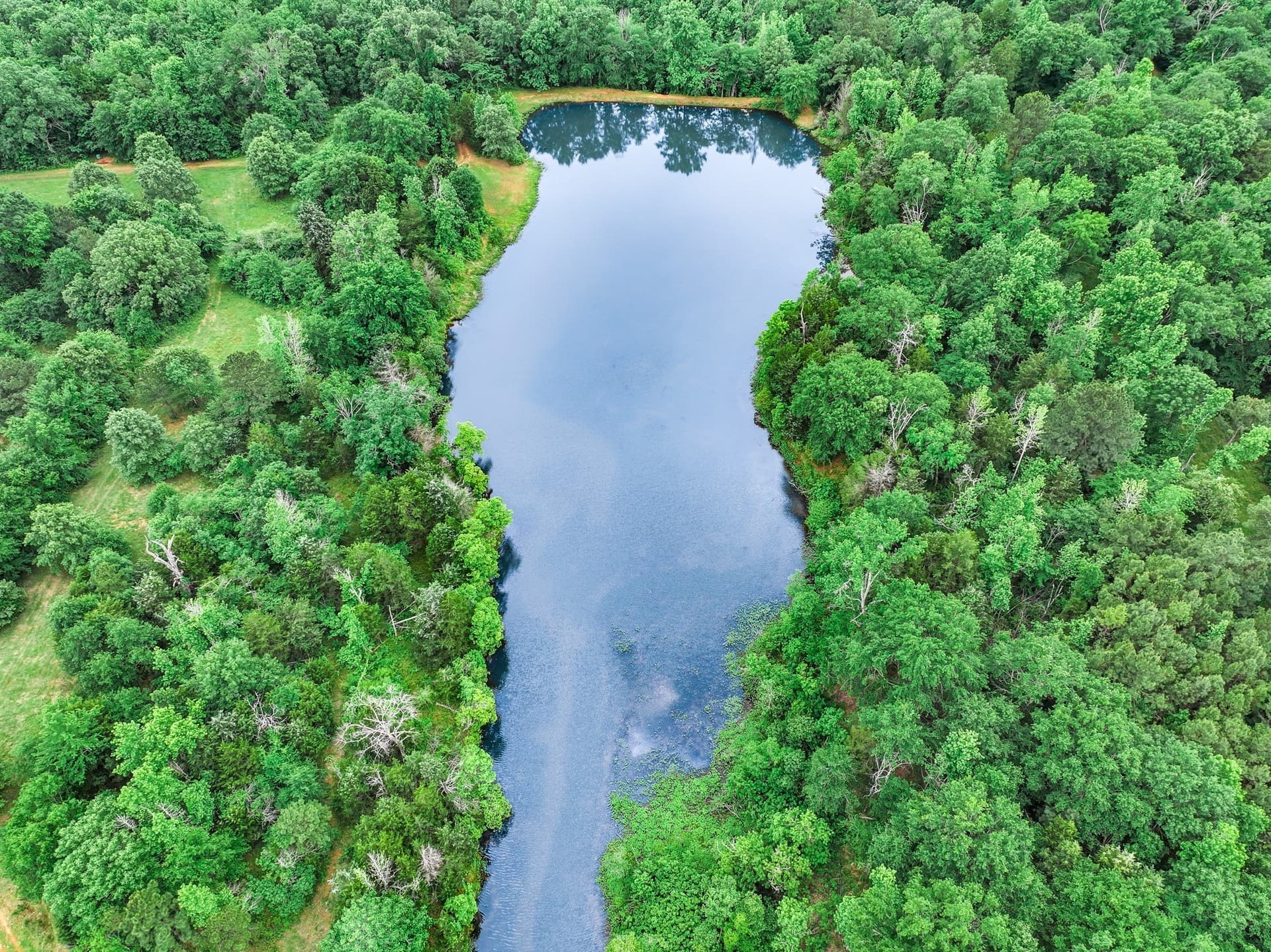 163 acres in Anderson County - photo 8